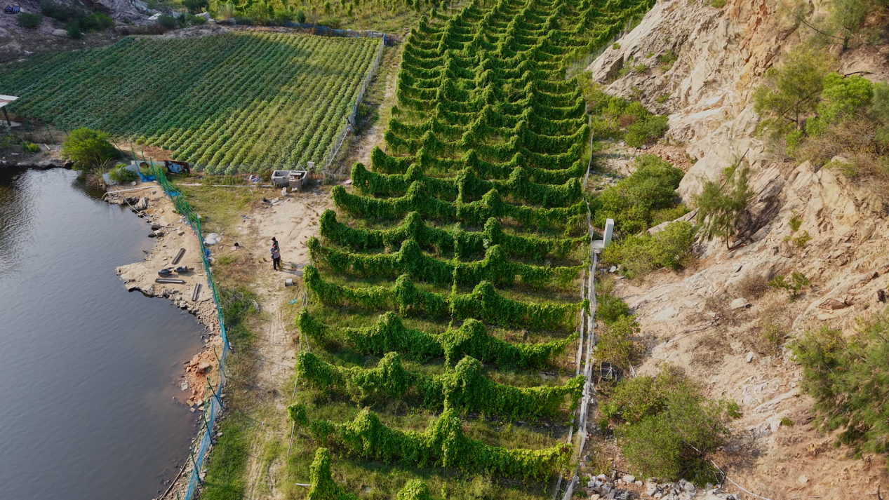 福建惠安：两岸携手打造古村蝶变新样本