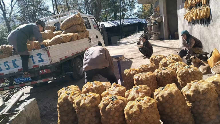 消费助农架桥梁 重庆大渡口-万源跨区域协作共绘振兴蓝图​