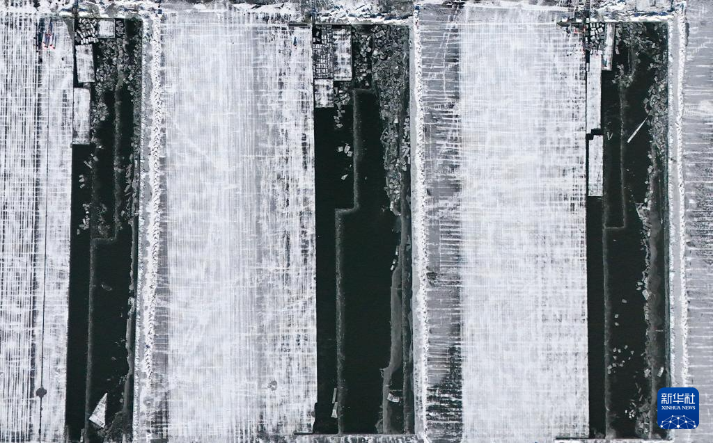 哈尔滨：采冰江上