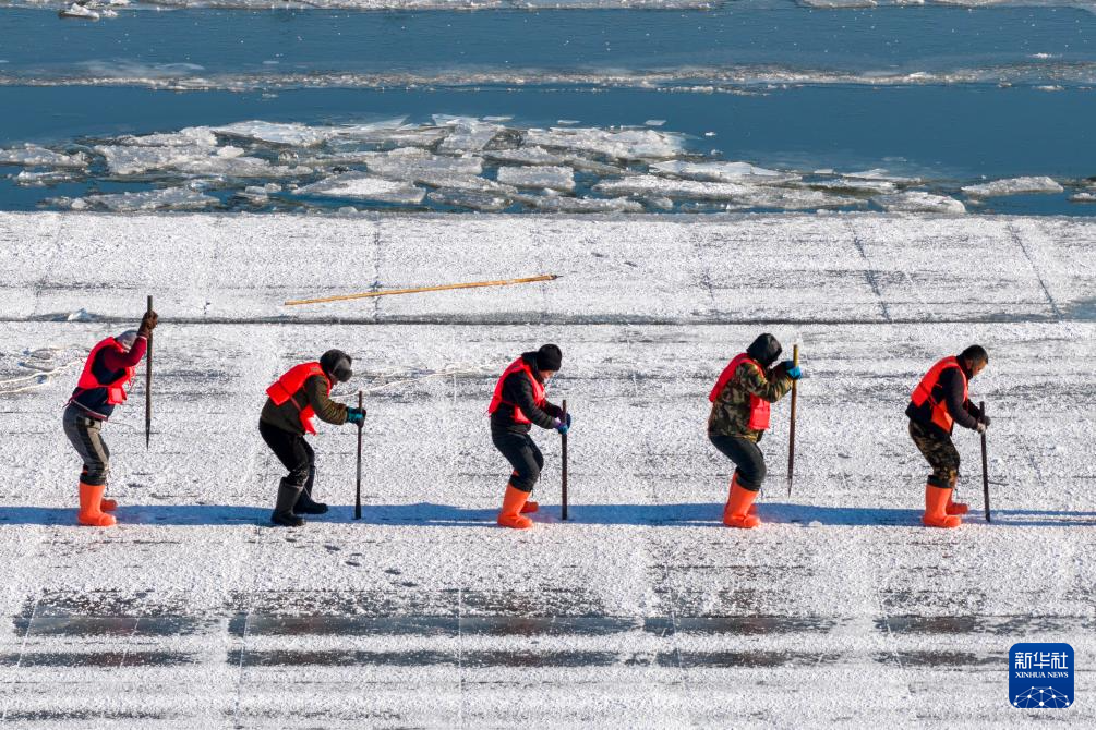 哈尔滨：采冰江上