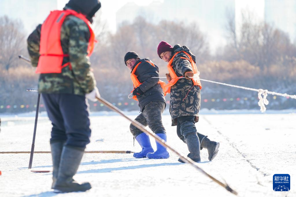 哈尔滨：采冰江上