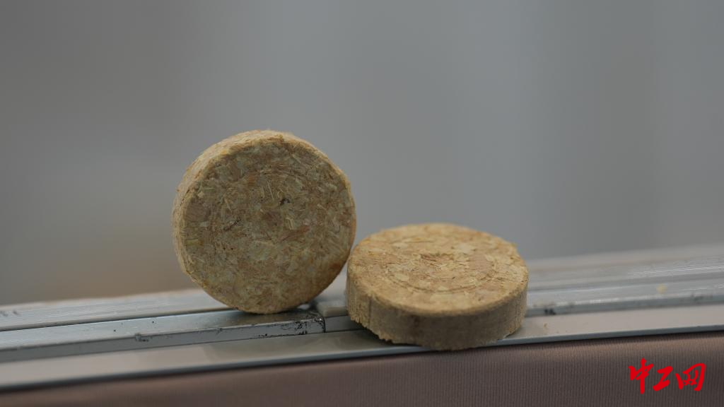 从会“生长”的徽章到可“循环”木屑 这届大赛绿意满满