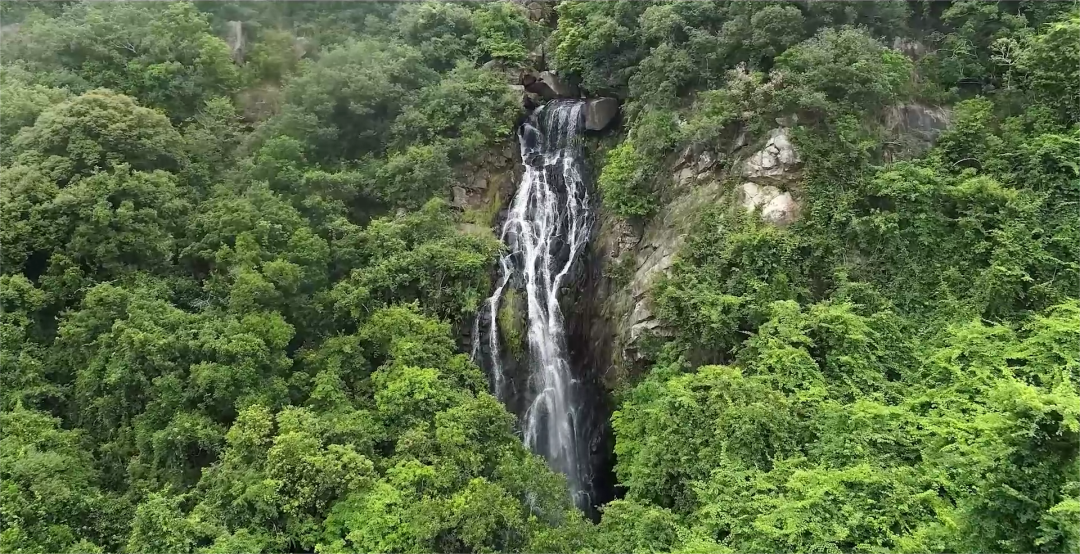 深圳风向：未来的坪山可能让你刮目相看