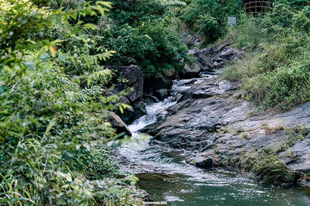 深圳风向：未来的坪山可能让你刮目相看