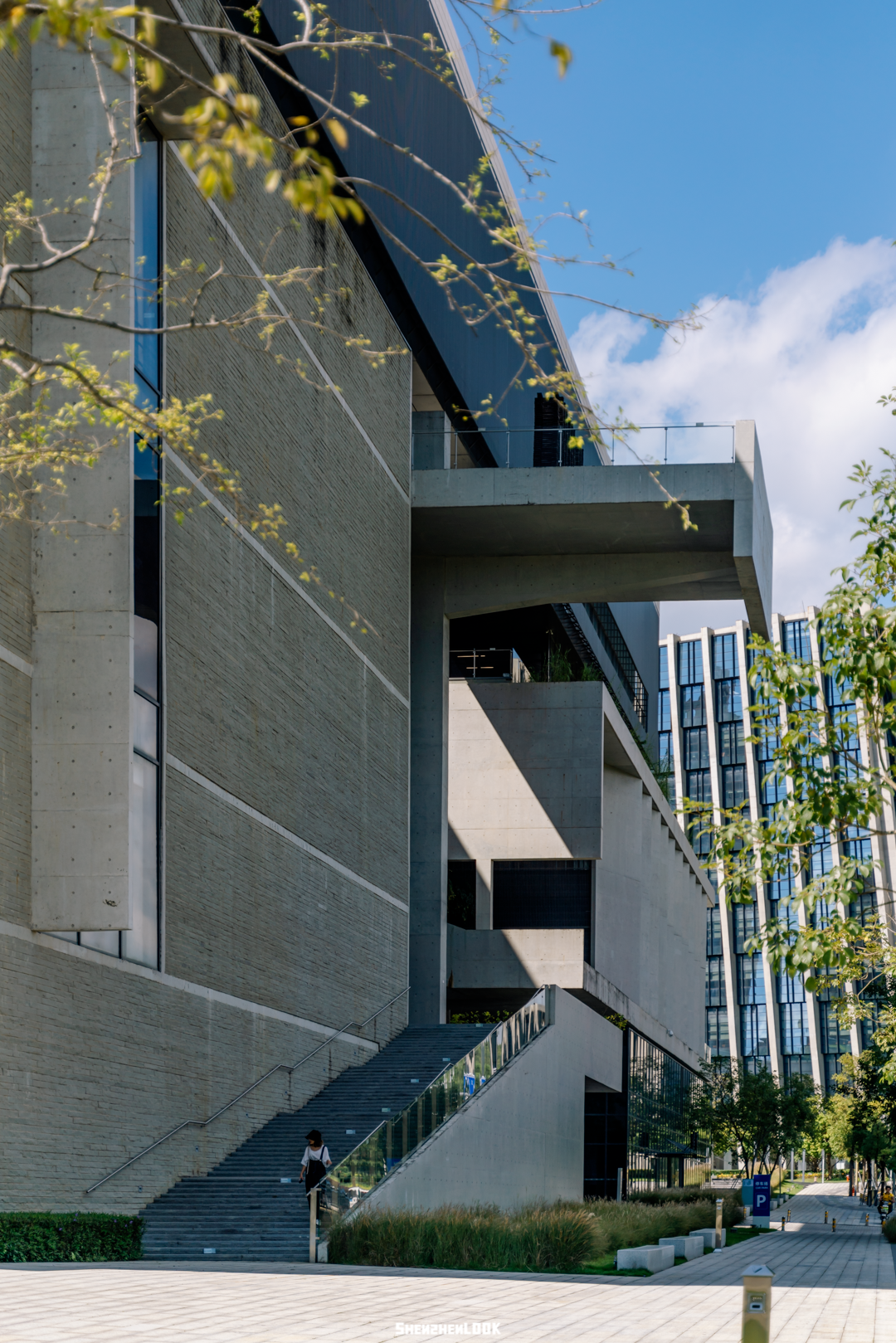 深圳风向：未来的坪山可能让你刮目相看