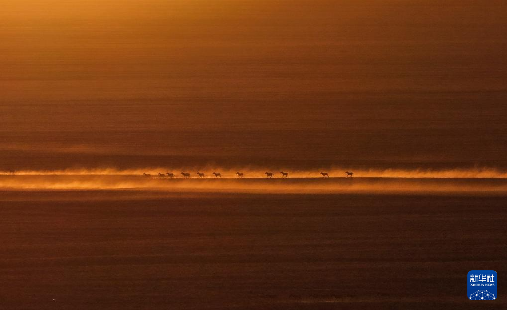 走进阿尔金山 镜遇秘境昆仑