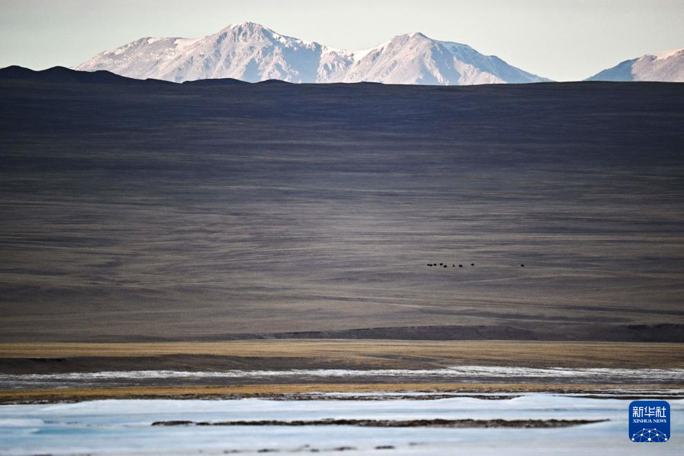 走进阿尔金山 镜遇秘境昆仑