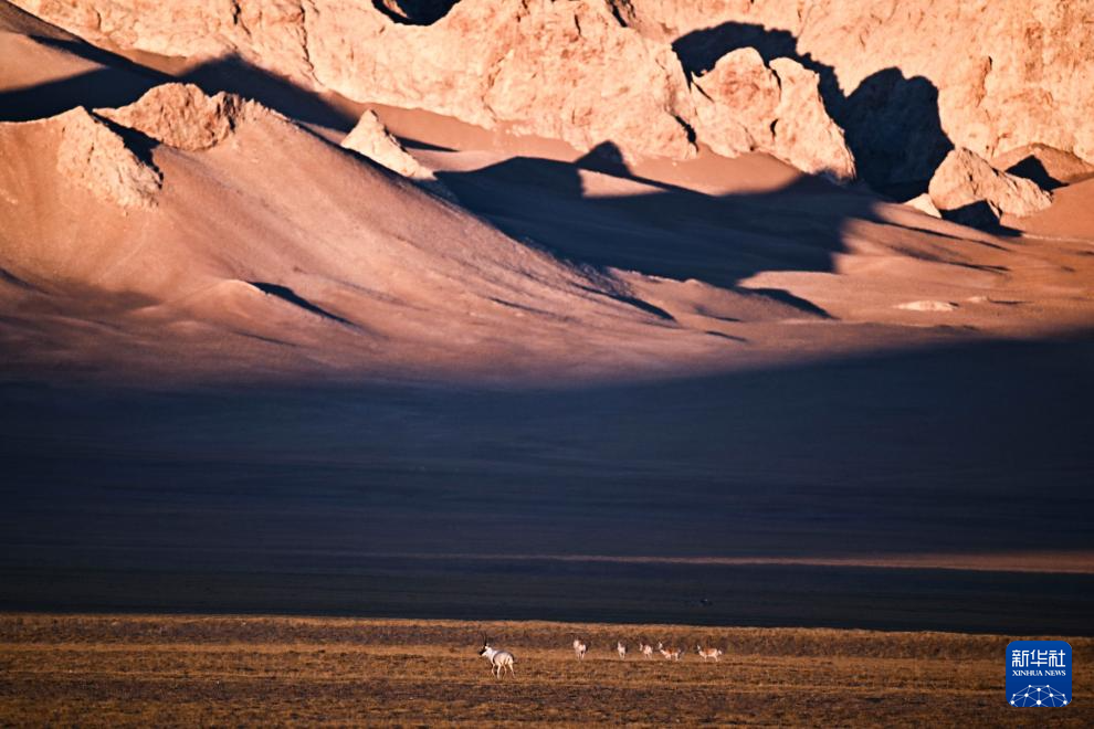 走进阿尔金山 镜遇秘境昆仑