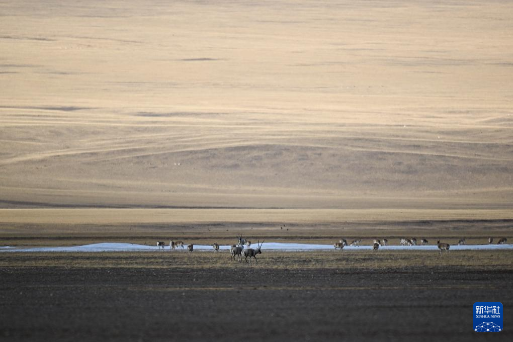 走进阿尔金山 镜遇秘境昆仑