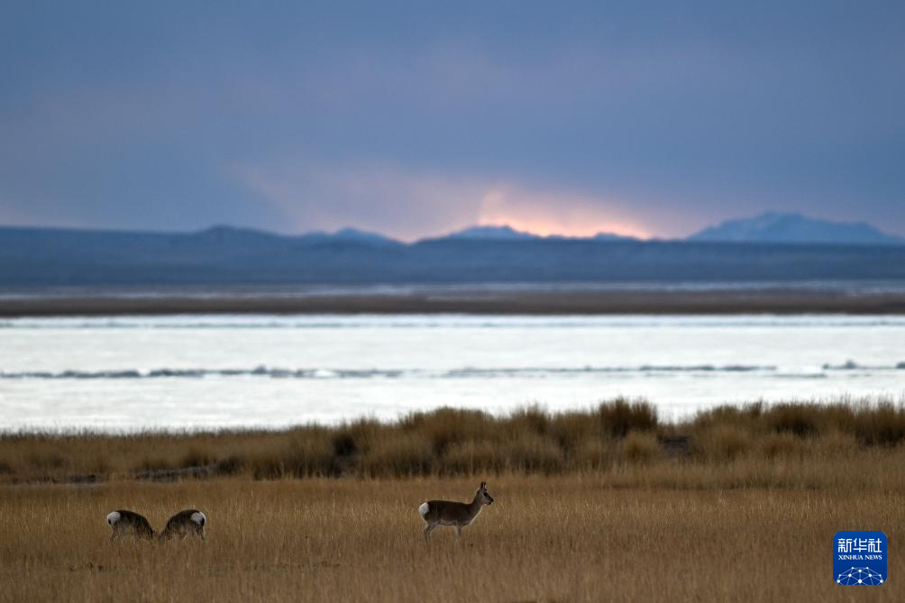 走进阿尔金山 镜遇秘境昆仑