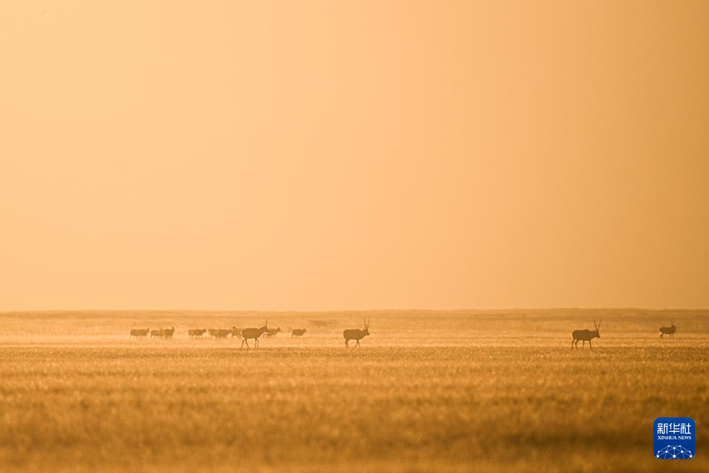 走进阿尔金山 镜遇秘境昆仑