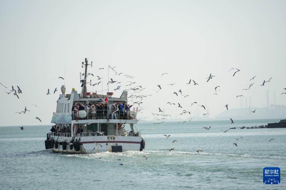 中国之城丨山东威海:山海相拥的开放之城