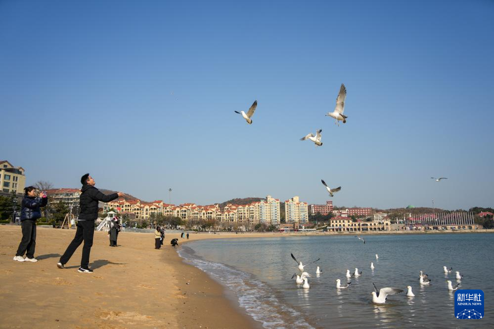 中国之城丨山东威海:山海相拥的开放之城
