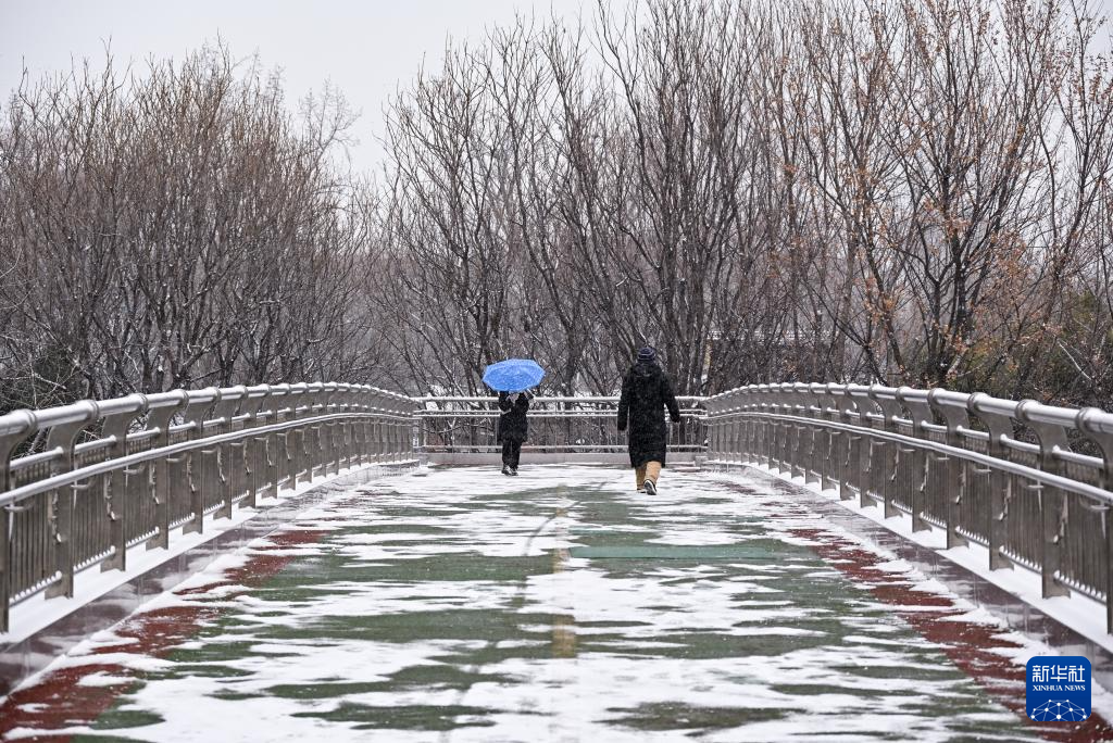 瑞雪降京城