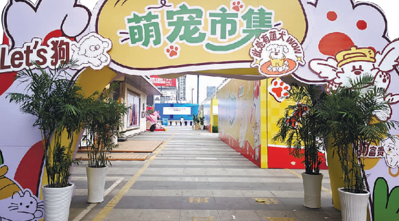 2025连云港“惠聚山海”消费季启幕 2025连云港“惠聚山海”消费季启幕