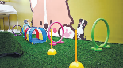 2025连云港“惠聚山海”消费季启幕 2025连云港“惠聚山海”消费季启幕