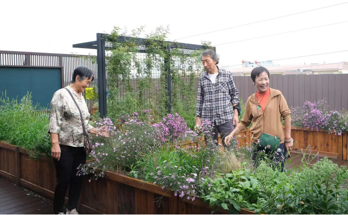 北京市责任规划师制度创新实践赋能基层治理评选为2024年度首都精神文明建设工作优秀案例 北京市责任规划师制度创新实践赋能基层治理评选为2024年度首都精神文明建设工作优秀案例