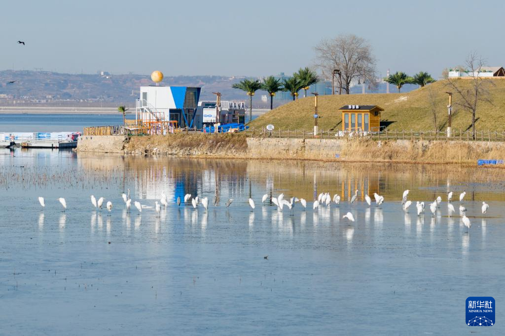 山西长治:一城风光半城绿