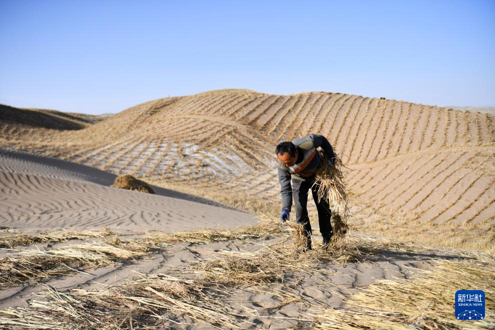 甘肃阿克塞:雪后忙治沙