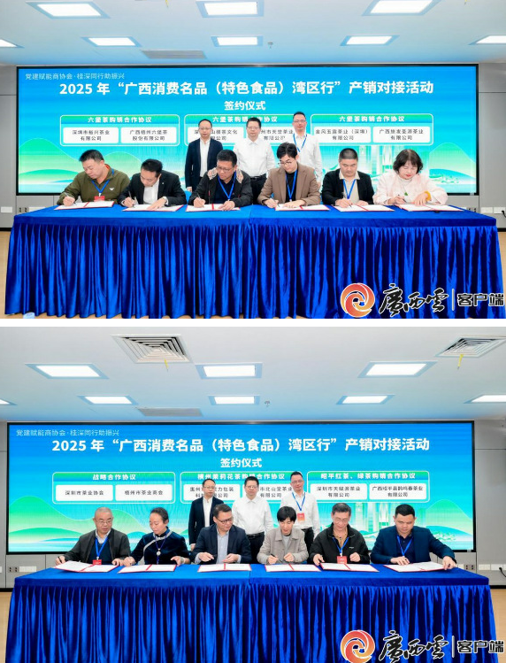 2025年“广西消费名品（特色食品）湾区行”产销对接活动举行