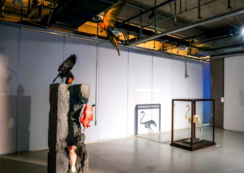 百余艺术家在京呈现“国际新媒体艺术”最新成果