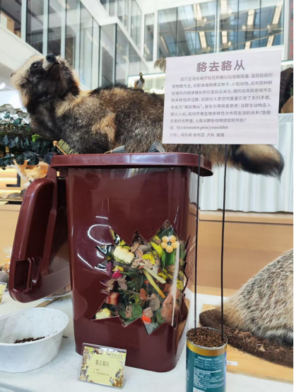 小明看展|在家门口看全国精品动物标本“大聚会”