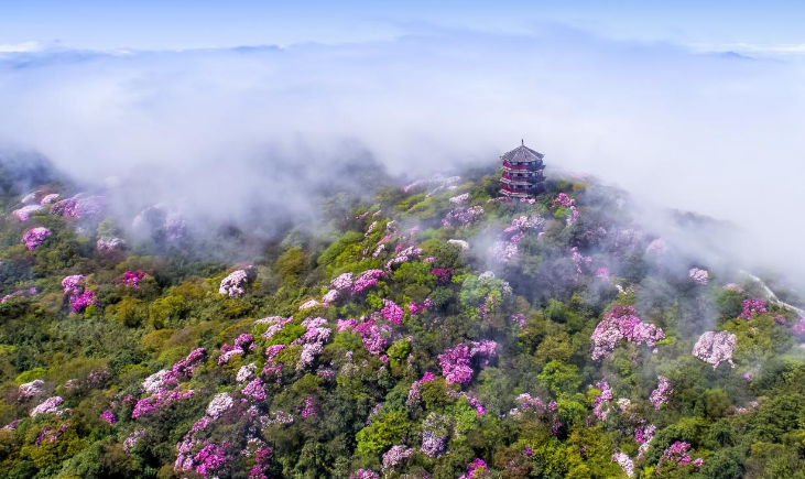 重庆6地入选国家级生态榜单 “高颜值”生态赋能绿色发展