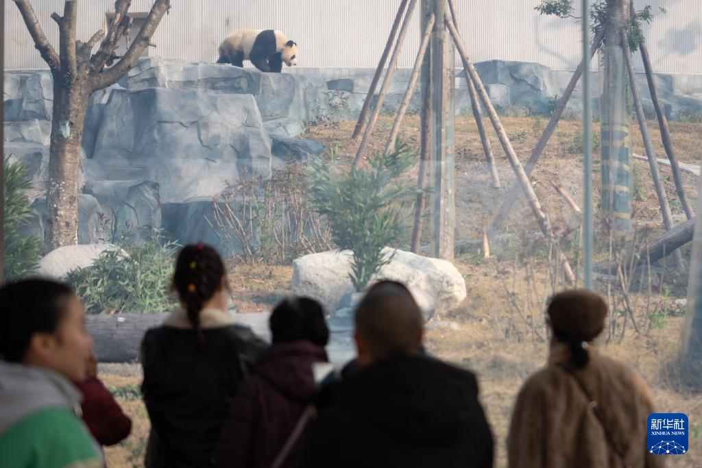 中国大熊猫保护研究中心绵阳基地开启试运营