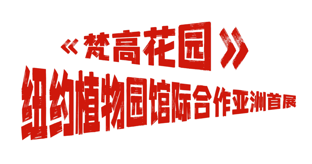 爱你老己!坪山元旦跨年狂欢攻略在此!| 2026来了
