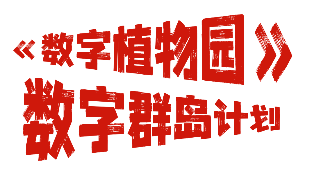 爱你老己!坪山元旦跨年狂欢攻略在此!| 2026来了