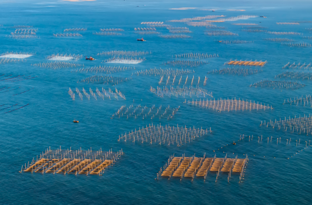 江苏连云港：陆海统筹 科学用海 让“碧海银滩”蝶变成“金山银山”