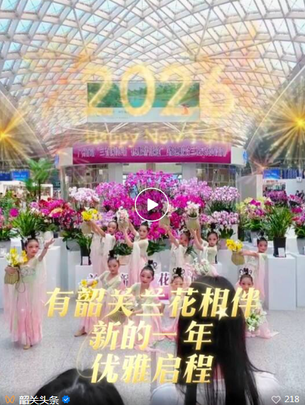 存在感太强！韶关把整个“兰花世界”搬进广州南站