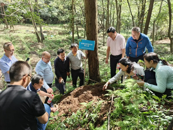 2026开门红！湖北中医药大学、湖北时珍实验室获湖北省科学技术进步一、二、三等奖