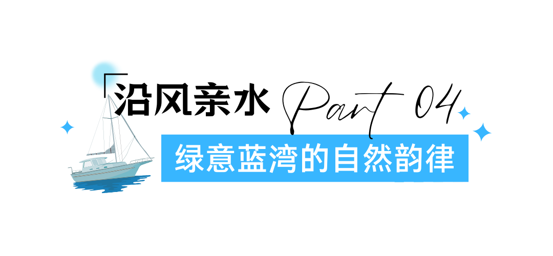 绿色简约风教育培训标题设计 (3).png