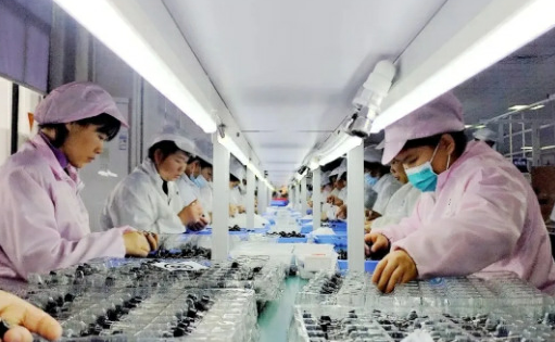 韶关开年“拼”了！乡村振兴车间火力全开