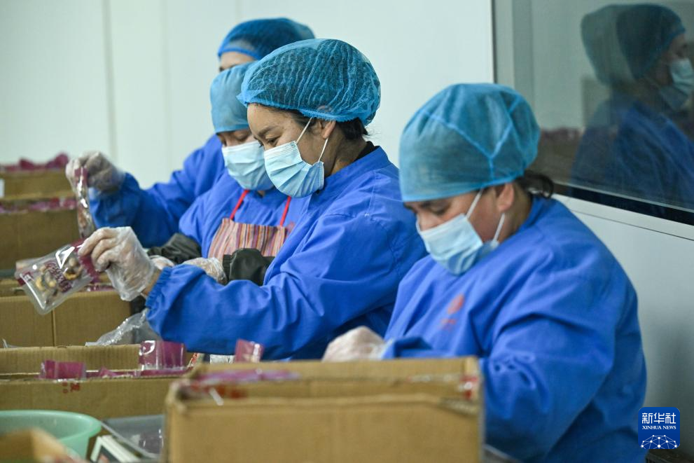 新春“疆”味浓 云端快车道助农增收