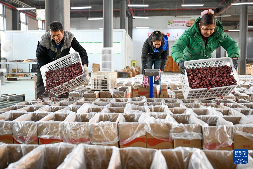 新春“疆”味浓 云端快车道助农增收