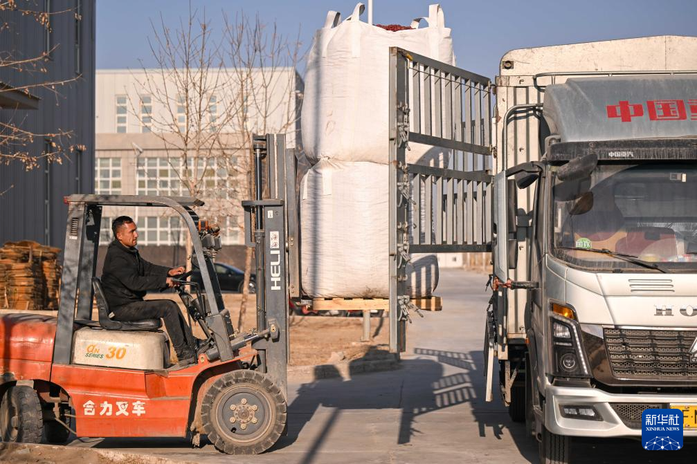 新春“疆”味浓 云端快车道助农增收