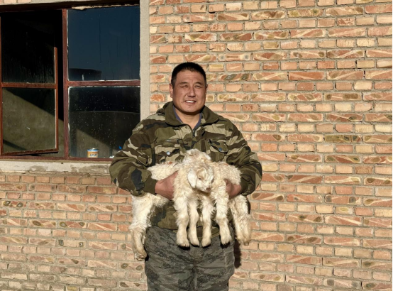 鄂托克旗冬日暖棚“羊”气足!双羔满圈,牧民笑开颜