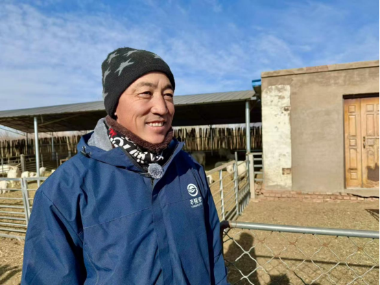 鄂托克旗冬日暖棚“羊”气足!双羔满圈,牧民笑开颜