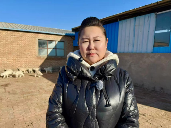 鄂托克旗冬日暖棚“羊”气足!双羔满圈,牧民笑开颜