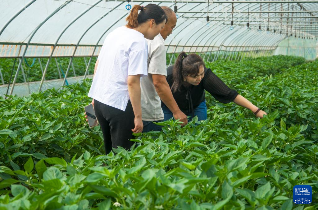 “不仅要‘小丰’,还要‘大丰’”