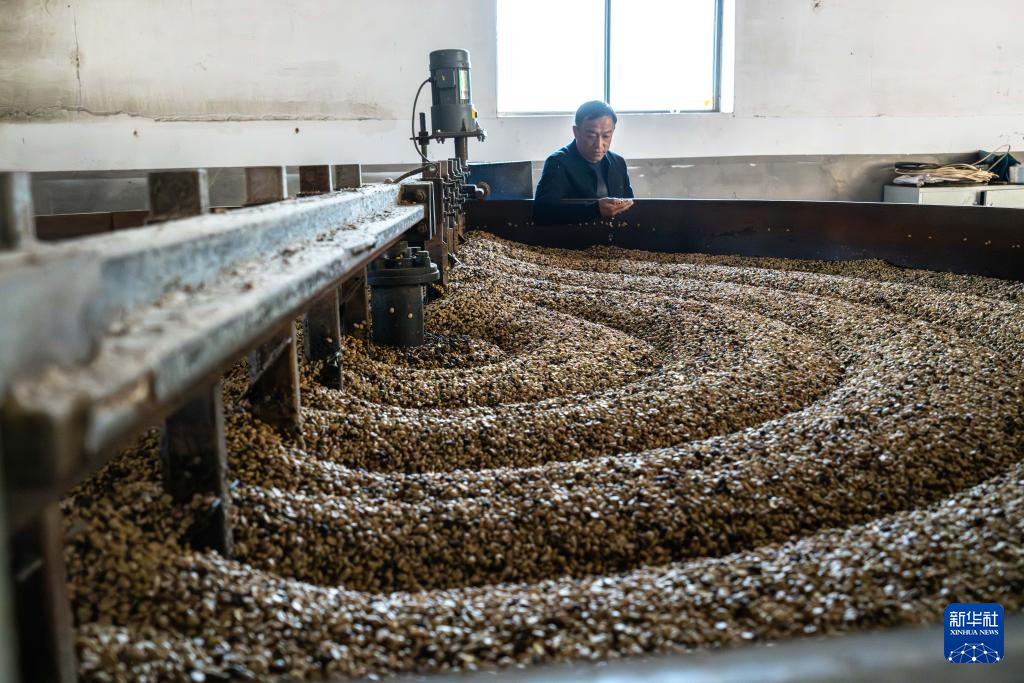 云南临沧:构建咖啡“从种到杯”全产业链