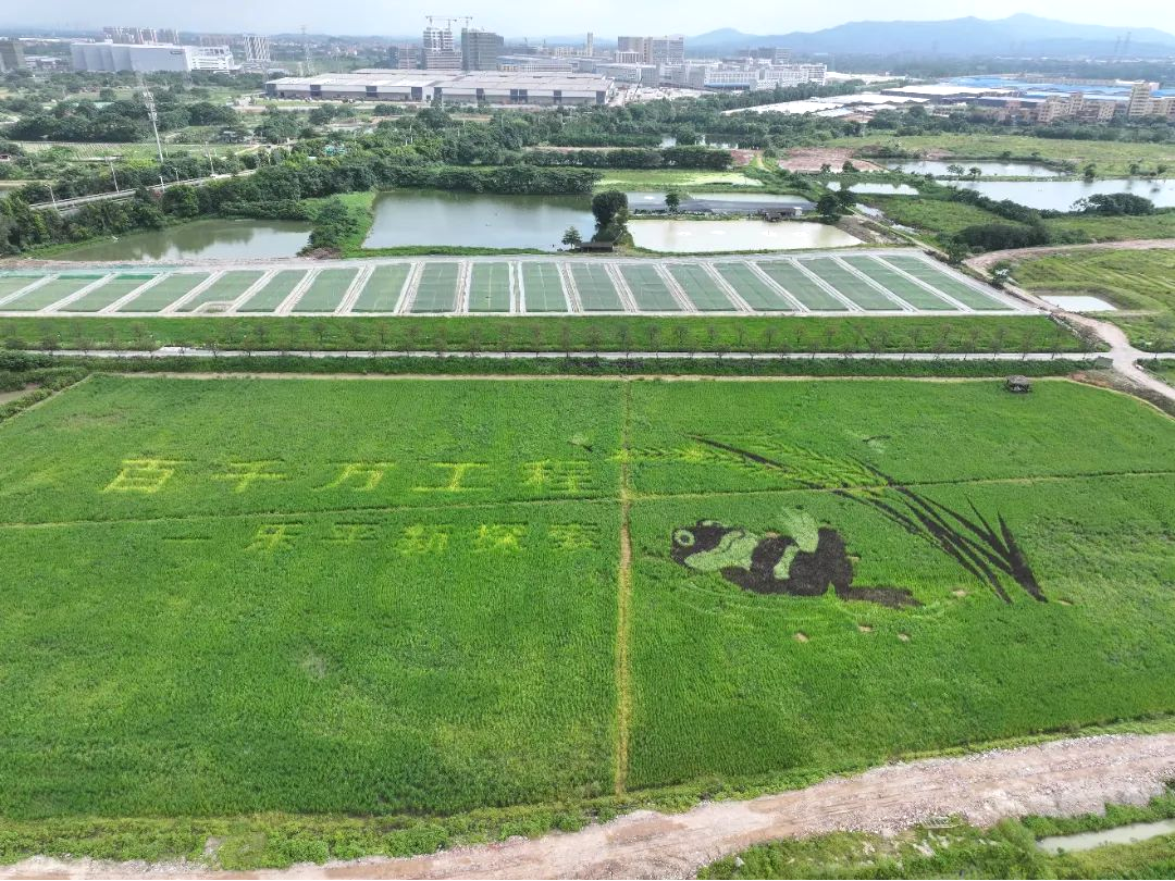 乐平新篇:“百千万工程”引领下的镇域振兴样本