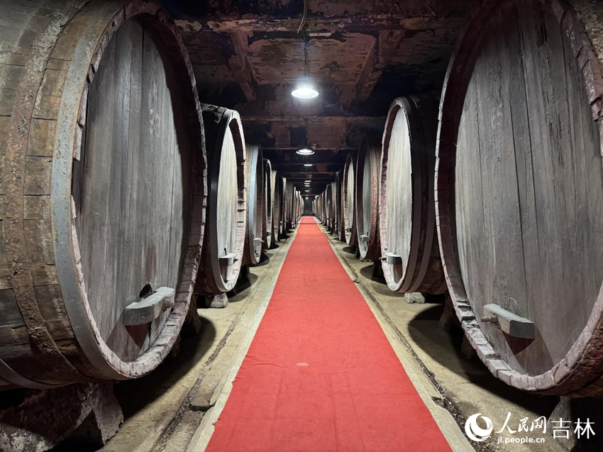 通葡地下大酒窖内绝版的巨型蒙古栎木桶，现已是国家文物局归列的附属文物。人民网记者 李思玥摄
