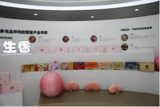 江苏江阴顾山镇：一颗桃，激活产业强镇 “一池春水”