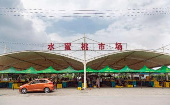 江苏江阴顾山镇：一颗桃，激活产业强镇 “一池春水”