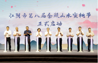 江苏江阴顾山镇：一颗桃，激活产业强镇 “一池春水”