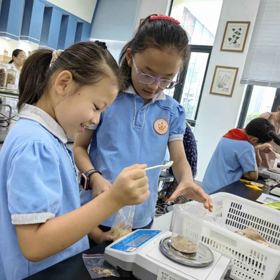 从“角色扮演”到“真实体验” 南京市月华路小学“百岗行动”破解职业启蒙难题