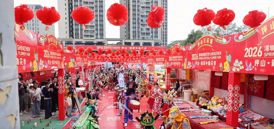 来坪山行花街啦 | 年味坪山